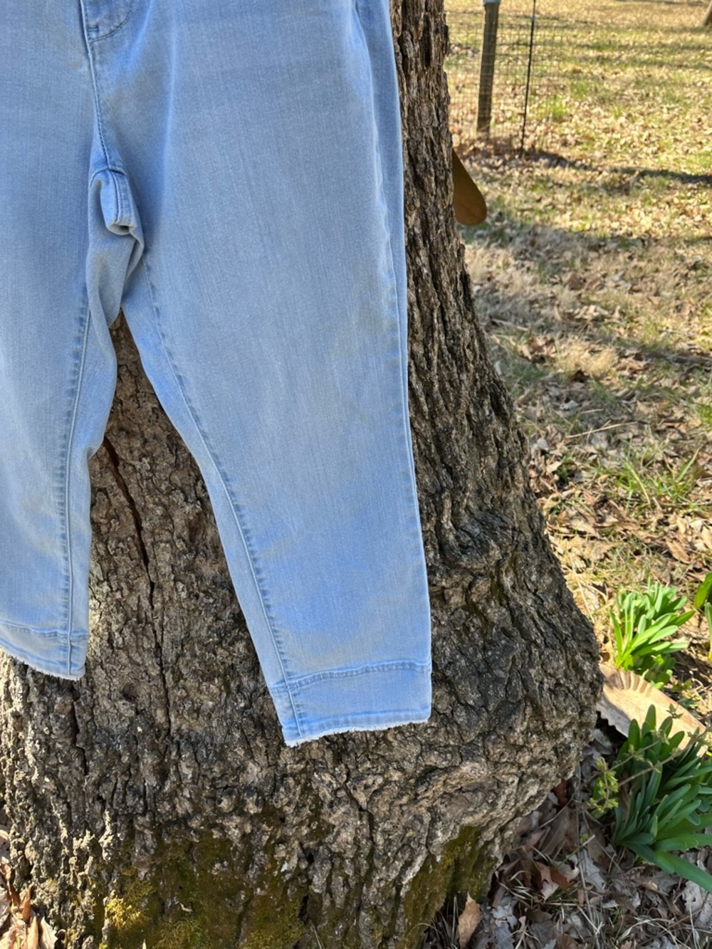 ⭐️J. Jill Cropped Jean in size 10 - Picture 6 of 6